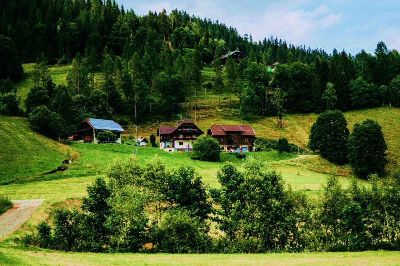 Appartement Vidmar-Wintertraum Arriach Esterno foto